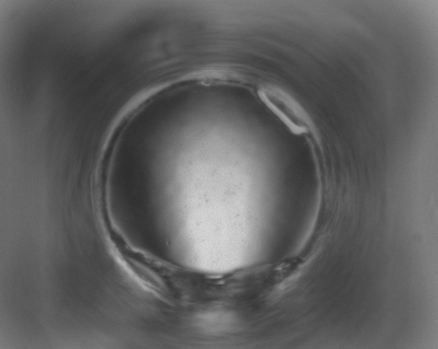 X0000083601045200702091215