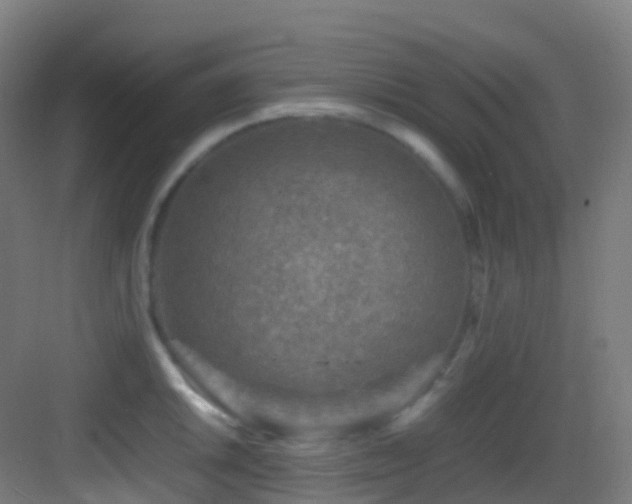 X0000083601046200702091215