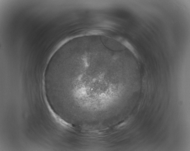 X0000083601047200702091215