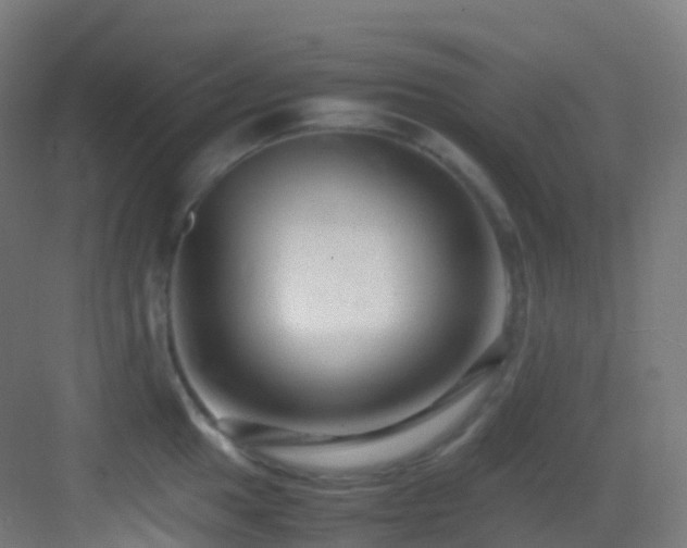 X0000083601049200702091215