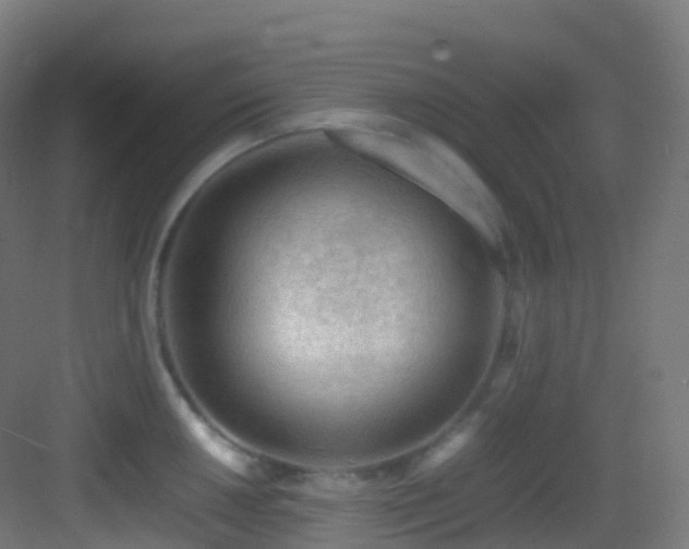 X0000083601050200702091215