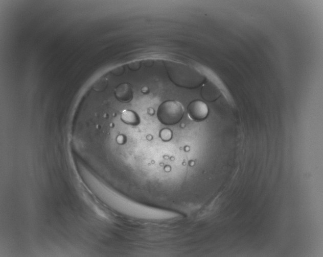 X0000083601051200702091215