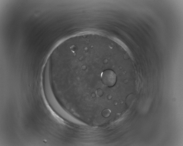 X0000083601055200702091215