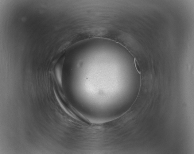 X0000083601058200702091214