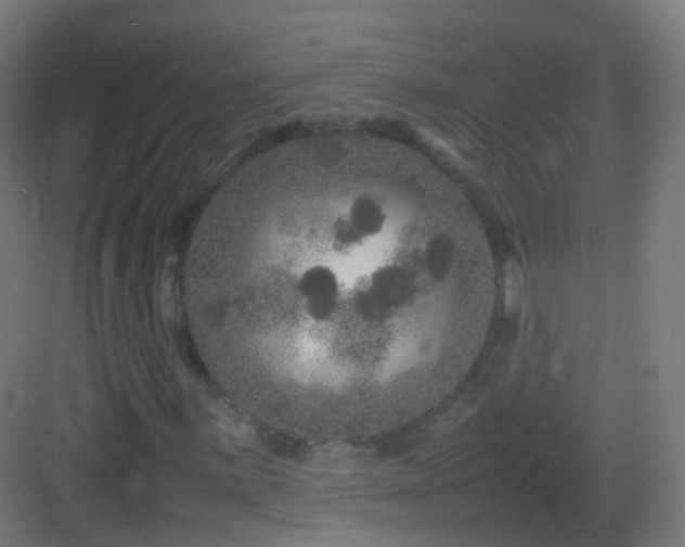 X0000083601059200702091214