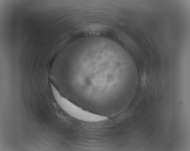 X0000083601060200702091214