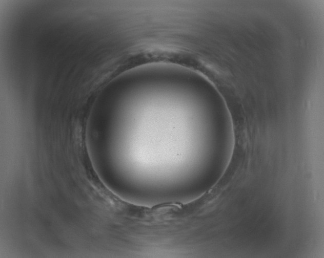 X0000083601061200702091214