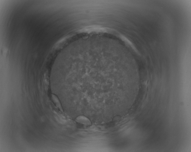 X0000083601063200702091214