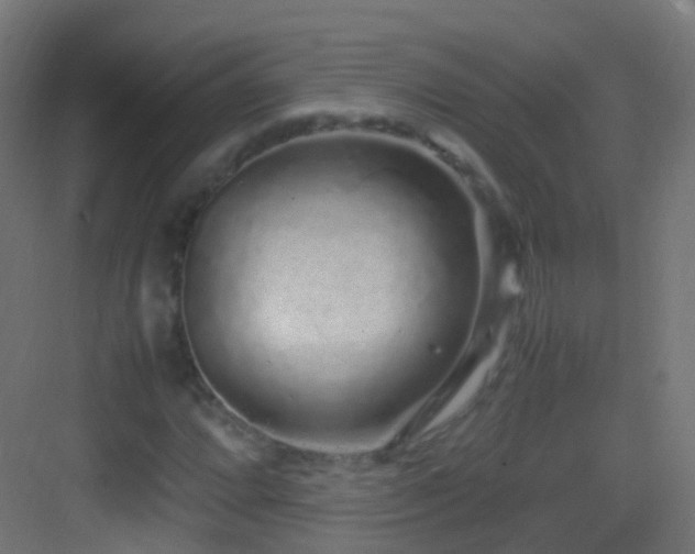 X0000083601064200702091214