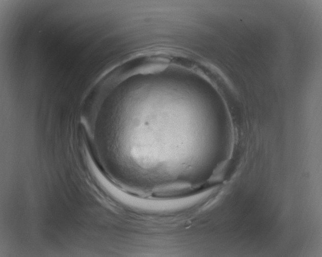 X0000083601065200702091214