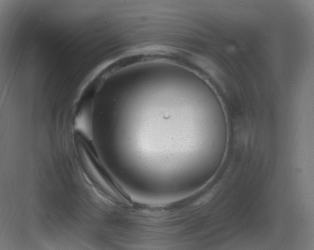 X0000083601066200702091214