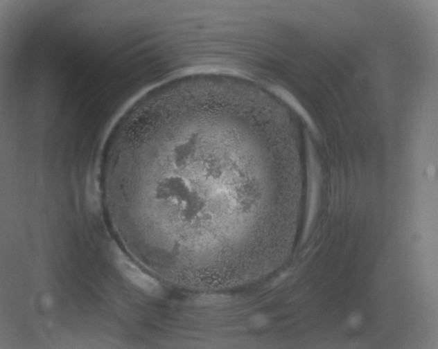 X0000083601068200702091214