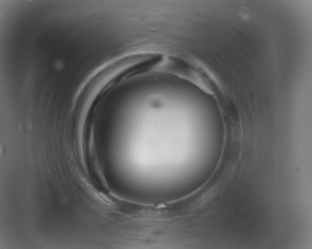 X0000083601069200702091214