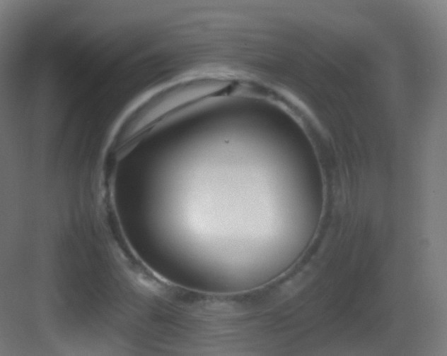 X0000083601070200702091214