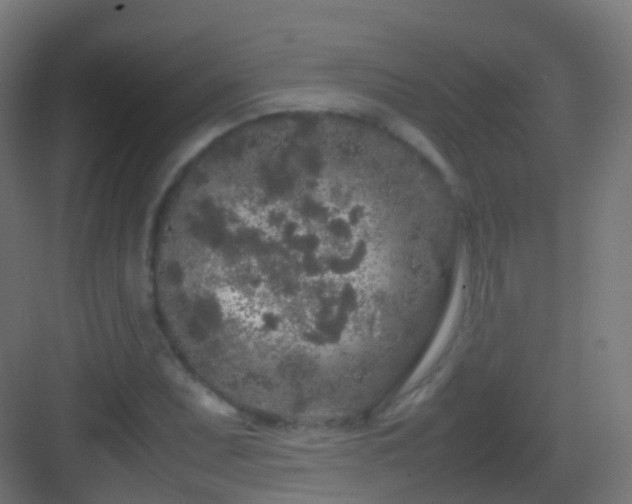 X0000083601071200702091214