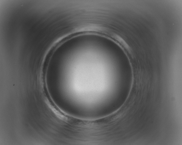 X0000083601072200702091214