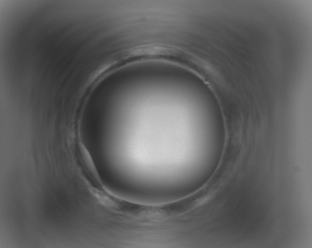 X0000083601073200702091214