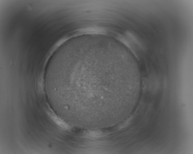 X0000083601074200702091214