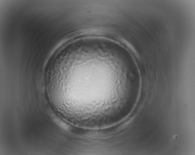 X0000083601075200702091214