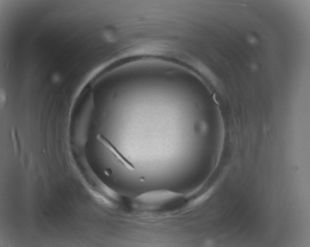 X0000083601077200702091214