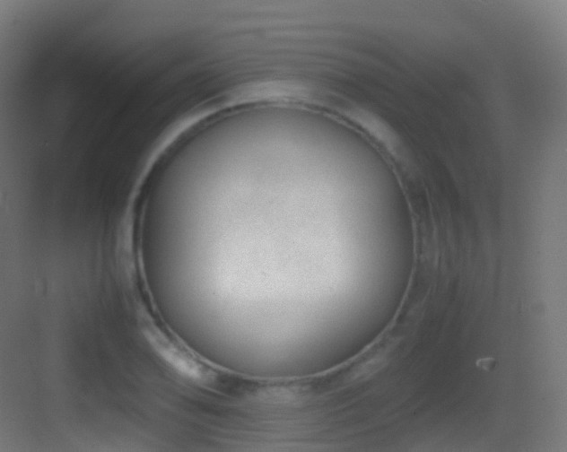 X0000083601078200702091214