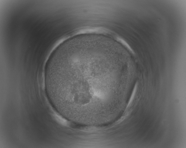 X0000083601079200702091214