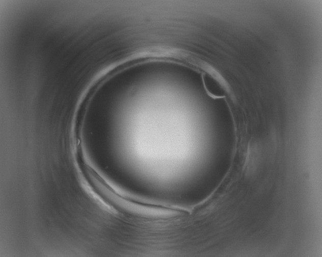 X0000083601080200702091214