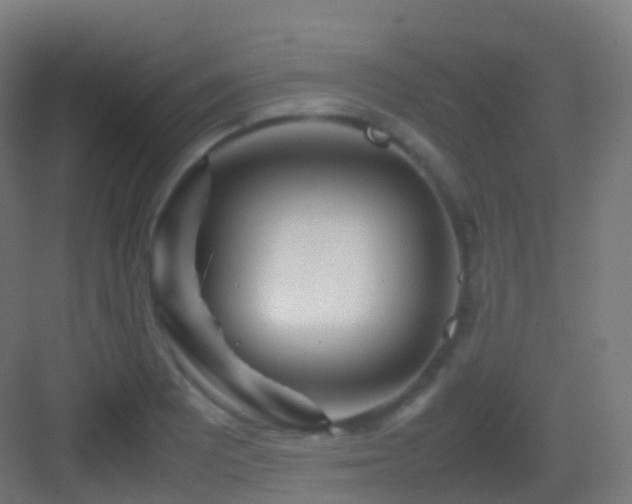 X0000083601081200702091213