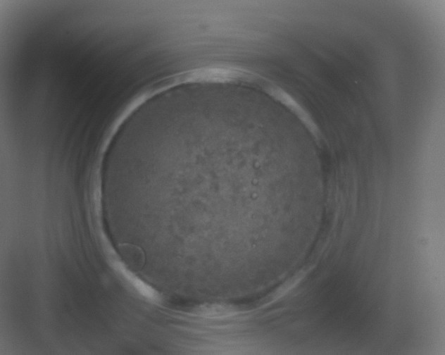 X0000083601083200702091213