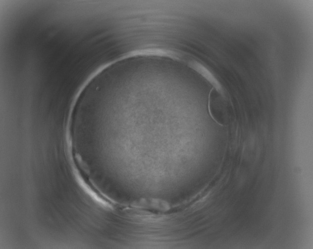 X0000083601084200702091213