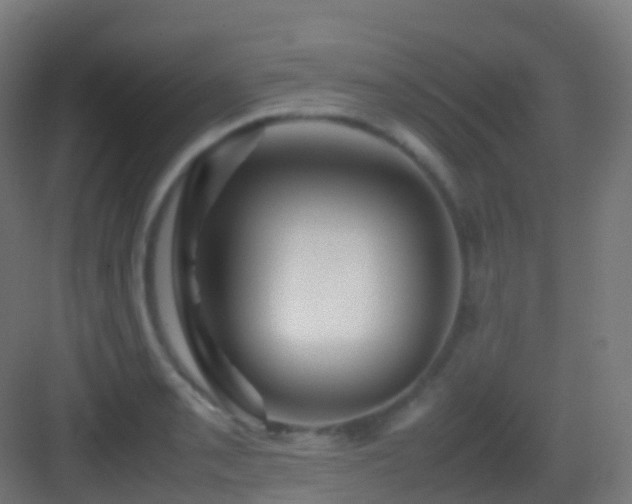 X0000083601085200702091213