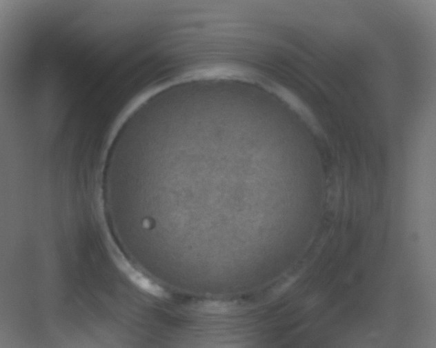 X0000083601086200702091213