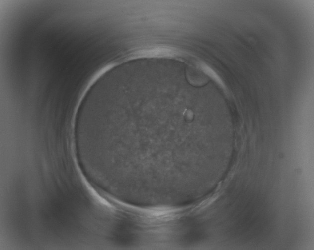 X0000083601087200702091213