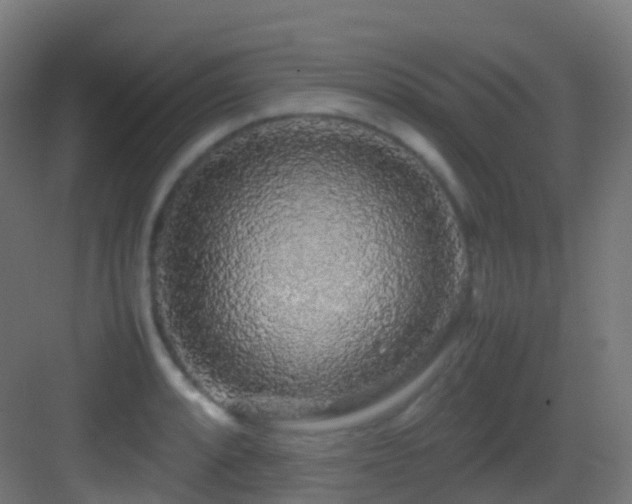 X0000083601088200702091213