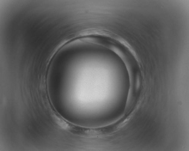 X0000083601089200702091213