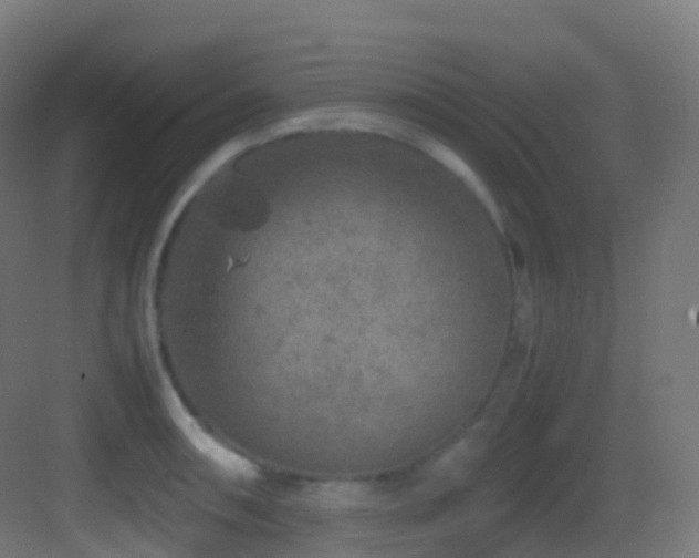 X0000083601090200702091213