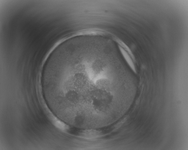 X0000083601091200702091213