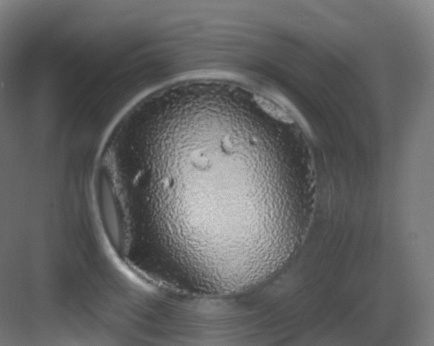 X0000083601092200702091213