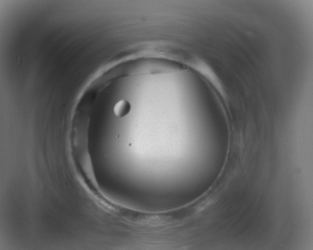 X0000083601093200702091213