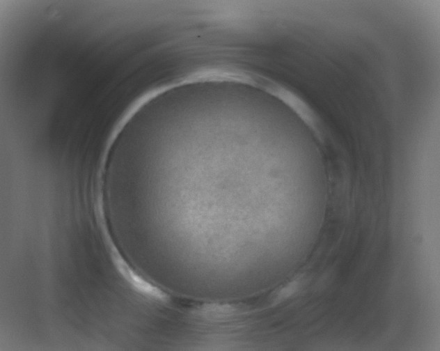 X0000083601094200702091213