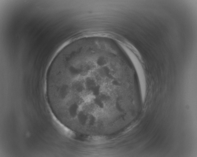 X0000083601095200702091213