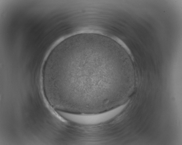 X0000083601096200702091213