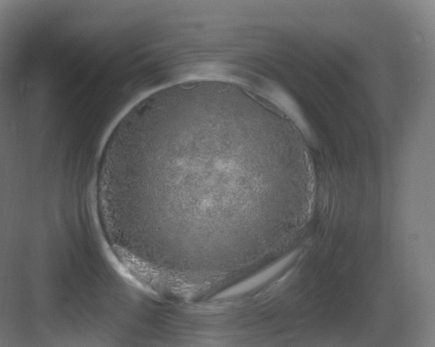 X0000083601100200702091213