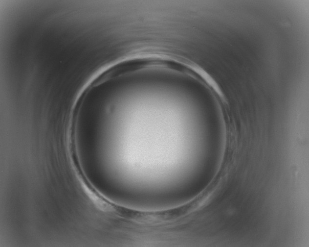 X0000083601101200702091213