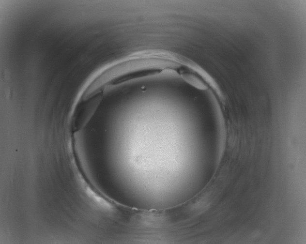 X0000083601102200702091213