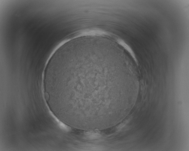 X0000083601103200702091213