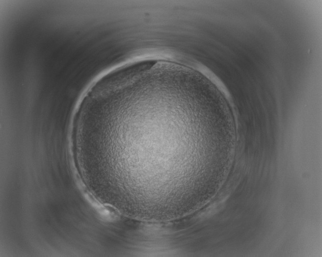 X0000083601104200702091213