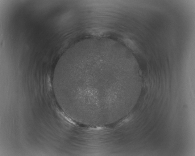 X0000083601106200702091212