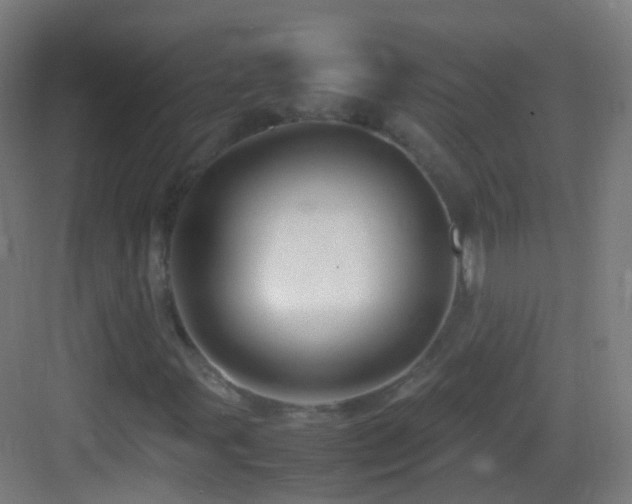 X0000083601107200702091212