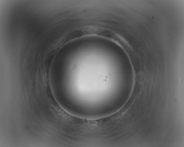 X0000083601111200702091212